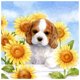 thumbnail image 3 of Cuadros Decorativos 5D diamante pintura cachorro girasol conjunto completo redondo mosaico imagen DIY decoración del hogar Ehuebsd Nuevos Originales, 3 of 9