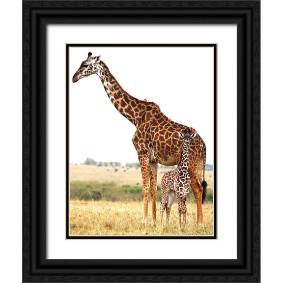 Matt 12x14 Black Ornate Wood Framed with Double Matting Museum Art Print Titled - Hidden Gem