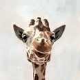 thumbnail image 2 of Barnes, Victoria 26x26 Black Ornate Wood Framed with Double Matting Museum Art Print Titled - Giraffes Gaze I, 2 of 4