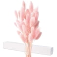 thumbnail image 1 of Flores secas de cola de conejo elegantes, hierba de cola de conejo seca natural atemporal para manualidades de bricolaje cautivadoras y decoración de granjas, 40 piezas, 1 of 5