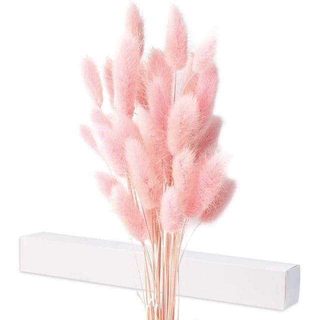 Flores secas de cola de conejo elegantes, hierba de cola de conejo seca natural atemporal para manualidades de bricolaje cautivadoras y decoración de granjas, 40 piezas