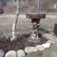 thumbnail image 4 of Outdoor birdbath, resin-based fountain to decorate the yard, 4 of 4