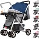 thumbnail image 1 of Carriola Infantil De Lujo Con Toldo De Viaje Compacta Y Ligera Carriola Para Bebe Con Jugetes Tela Transpirable Carrito Para Bebe Con Mango Ergonomico Carreola Ultra Ligera Y Comoda (Azul), 1 of 7