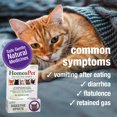 thumbnail image 3 of HomeoPet Feline Digestive Upsets Digestive Health Supplement Solution for Cats, 15-Milliliter Bottle, 3 of 8