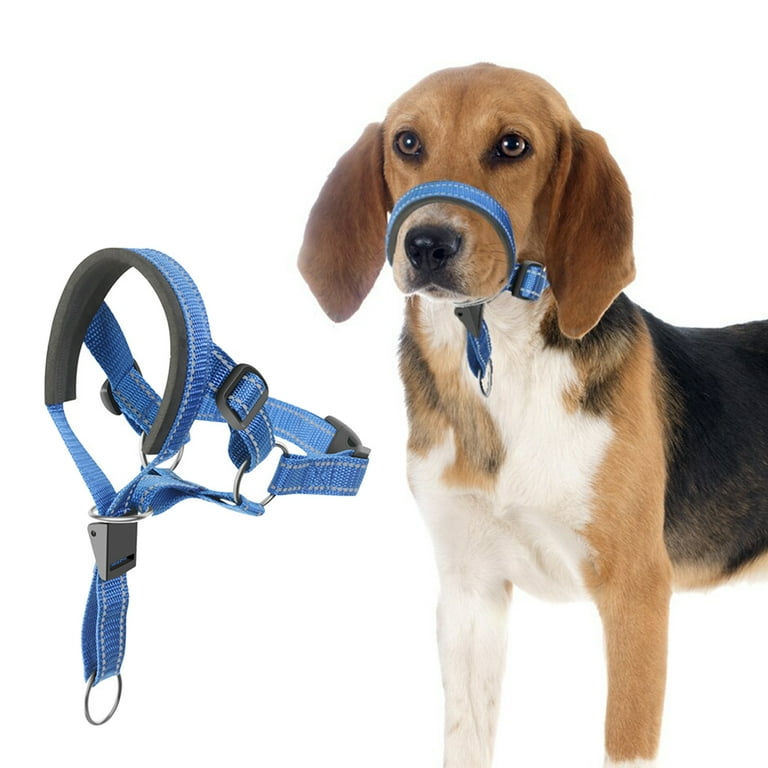 Healthy Trainer' Interactive Treat Dispensing Dog Looper of Special Rubber  [TT49#1073 Everlasting Treat Looper] - $27.99 : Best quality dog supplies  at crazy reasonable prices - harnesses, leashes, collars, muzzles and dog  training equipment