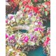 thumbnail image 5 of Juego de 8 coronas de enredadera naturales, 2 tamaños, para decoración de corona de primavera de Pascua, pasatiempos creativos para bodas, decoración de fiesta, 10 cm y 15 cm, 5 of 5