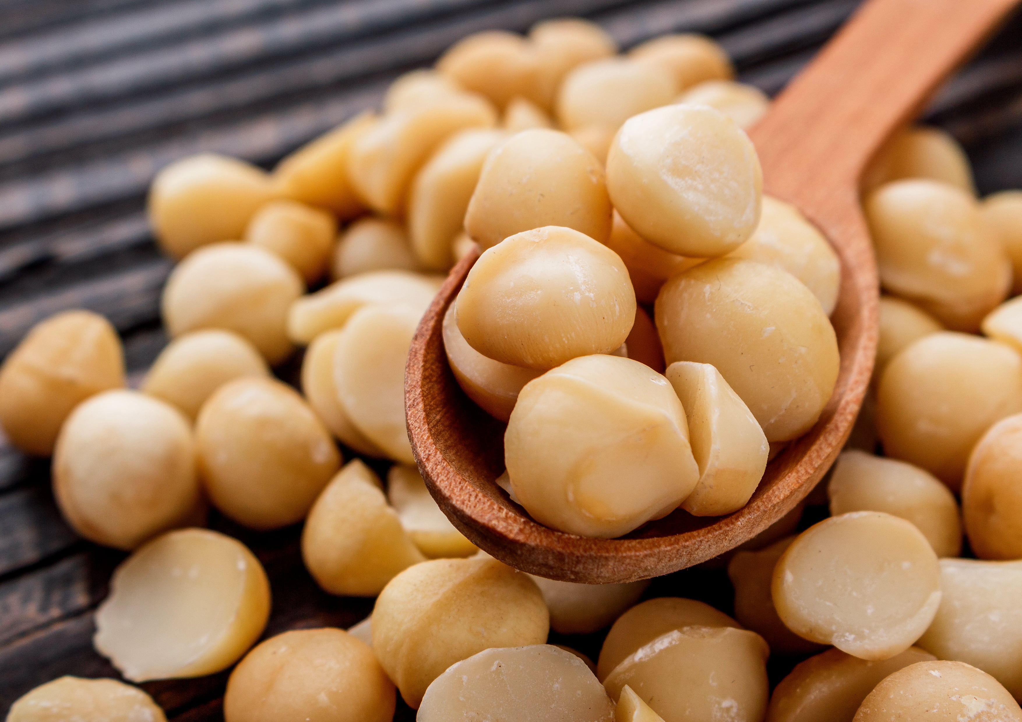 Dry Roasted Macadamia Nuts with Himalayan Salt, 1 Pound — Vegan — by Food to Live