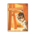 thumbnail image 1 of RYLABLUE The Cat With The Legs Fleece Throw Blanket 58x80 inches, 1 of 3