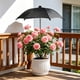 thumbnail image 1 of CaiYueKe Garden Umbrellas for Plants Flowers, Plant Shade Umbrellas for Outdoor Plants Flowers, Plant Shade Umbrella with Stake for Potted Plants, 13.7" Height Plant Sun Shade Cover UV Protection, 1 of 7