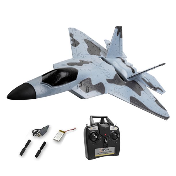 F22 Raptor Model RC Plane Glider Remote Control Plane Drone EPP Remote