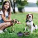 thumbnail image 3 of 2 Unidades de Platos Plegables para Mascotas, Plato Portátil para Alimentar y Dar de Beber a Mascotas, 3 of 6