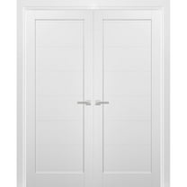French Double Panel Doors 48 x 96 with Hardware | Quadro 4115 White Silk | Panel Frame Trims | Bathroom Bedroom Interior Sturdy Door
