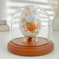 thumbnail image 3 of Plymor 4" x 4" Glass Display Dome Cloche (Walnut MDF Base), 3 of 3