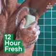 thumbnail image 6 of (4 pack) Irish Spring Aloe Mist Deodorant Bar Soap for Men, 12 Hour Fresh Deodorant Soap, 3.7 oz Bar (8 Pack), 6 of 12