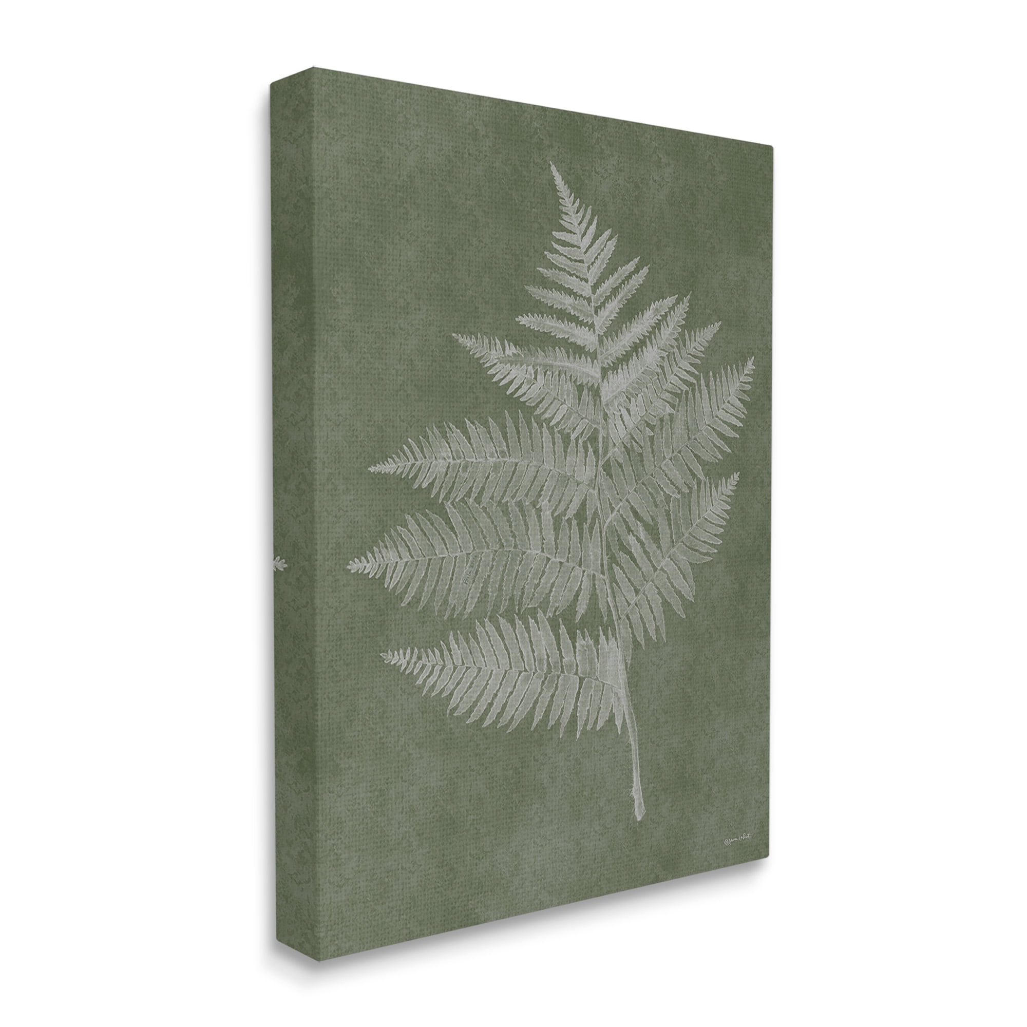Stupell Industries Asymmetrical Fern Plant Botanical & Floral Painting Gallery Wrapped Canvas Art Print Wall Art, 36 x 48