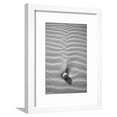 thumbnail image 1 of Sand Wind and Light No 2 BW, Scenic Framed Art Print Wall Art by Istv?n Nagy Sold by Art.Com, 1 of 5