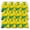 Style 1, variant on world game Brazil Pattern 12pcs Drawstring Backpack bulk 210D cinch bag for Men Women Travel party even