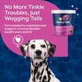 thumbnail image 5 of NaturVet Bladder Support Plus Cranberry Soft Chews for Dogs 60ct, 5 of 10