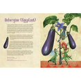 thumbnail image 3 of Veggie Power, 3 of 5