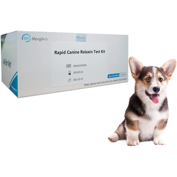 Is There A Pregnancy Test For Dogs