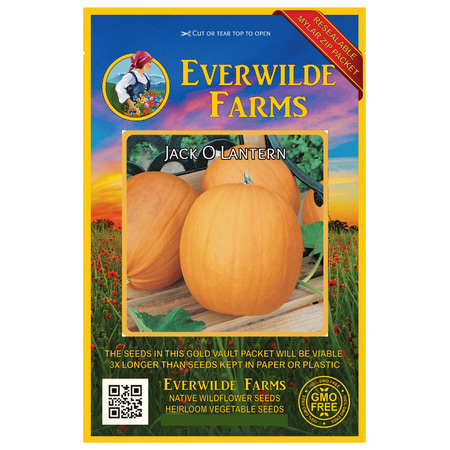 Pumpkin Seed Packet - Everwilde Farms - 40 Jack O Lantern Pumpkin Seeds - Gold Vault Jumbo Bulk Seed Packet