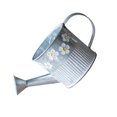 thumbnail image 1 of Yuarrent Cubos de Metal Vintage, maceta con forma de rociador, maceta, jarrones de mesa, soporte de jarra de estilo Retro para el jardín del hogar Jardín y Patio Yuarrent HA036544-00, 1 of 6