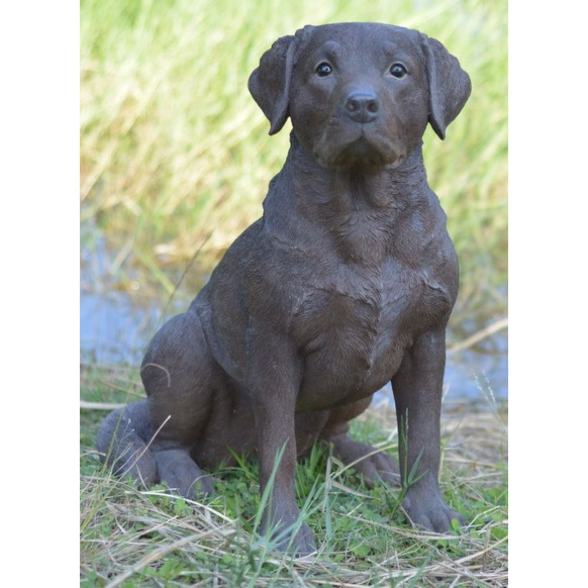 are labrador retrievers outdoor dogs