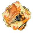 thumbnail image 2 of Boerboel Mastiff Fall Foam Coaster Set of 4 Yellow, 2 of 3