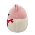 thumbnail image 5 of Squishmallows Official 5 inch Niven the Tri-Colored Guinea Pig - Child's Ultra Soft Plush Toy, 5 of 7