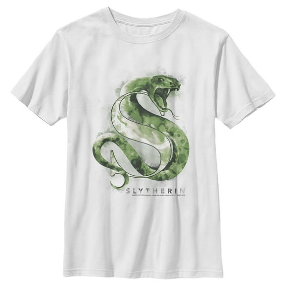 Boy's Harry Potter Slytherin Snake Watercolor  Graphic Tee White Small