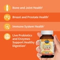 thumbnail image 3 of Garden of Life Vitamin Code Raw Vitamin D3, 60 Vegetarian Capsules, 3 of 7