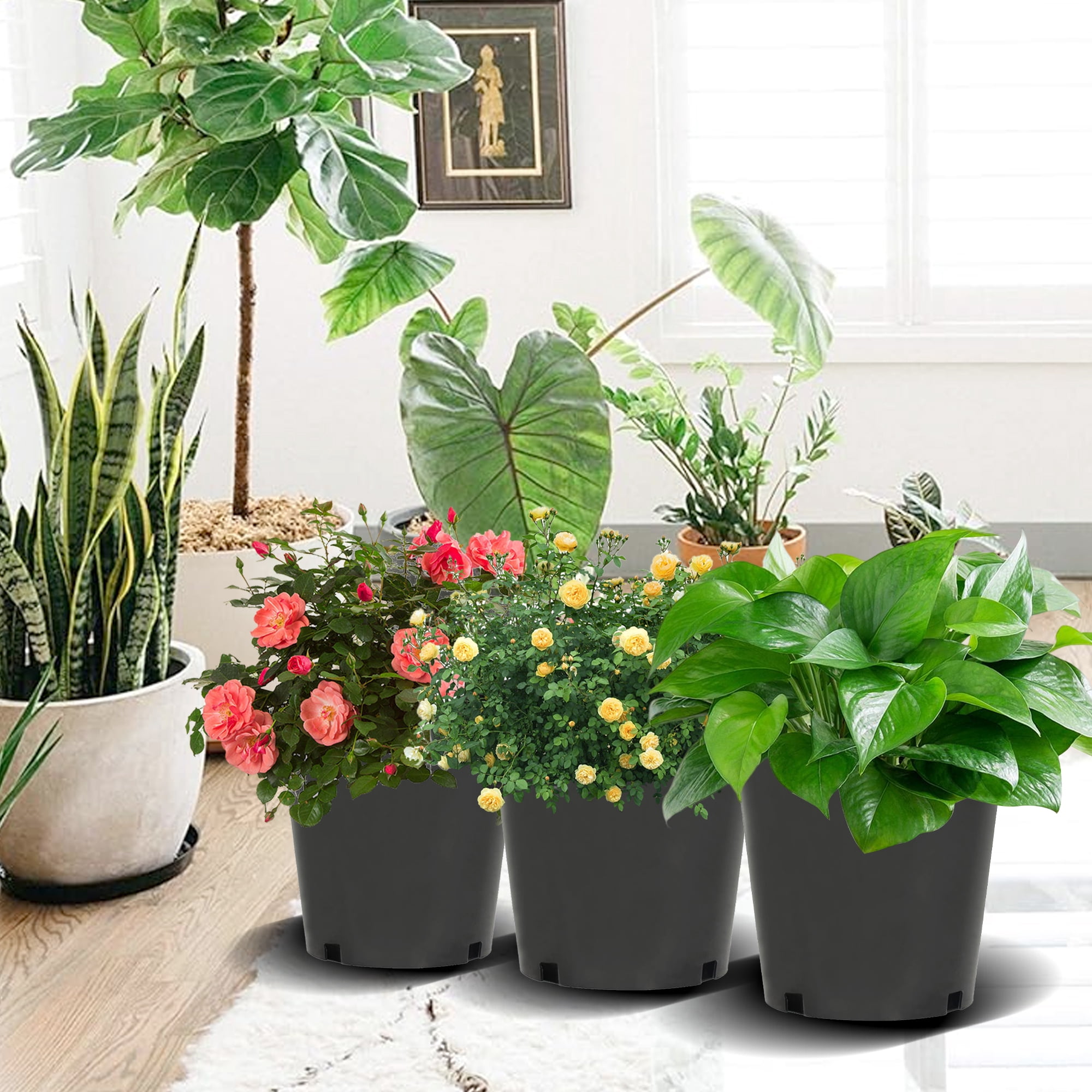 hostic 10Pcs 2gal Premium Black Nursery Pot Plant Container Garden Planter Pots Plastic