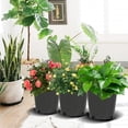 thumbnail image 3 of HOSTIC Premium Black Plastic Nursery Plant Container Garden Planter Pots, 3 of 7