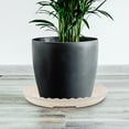 thumbnail image 3 of 20 Pcs Flower Pot Tray Plant House Plants Water Drainage Indoor Planter Dish Flowerpot Pots, 3 of 6