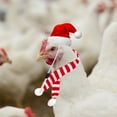 thumbnail image 2 of putnchl Pet Christmas Dressup Set,1set Chicken Guinea Pig Lizard Pet Christmas Dressup Set, 2 of 4