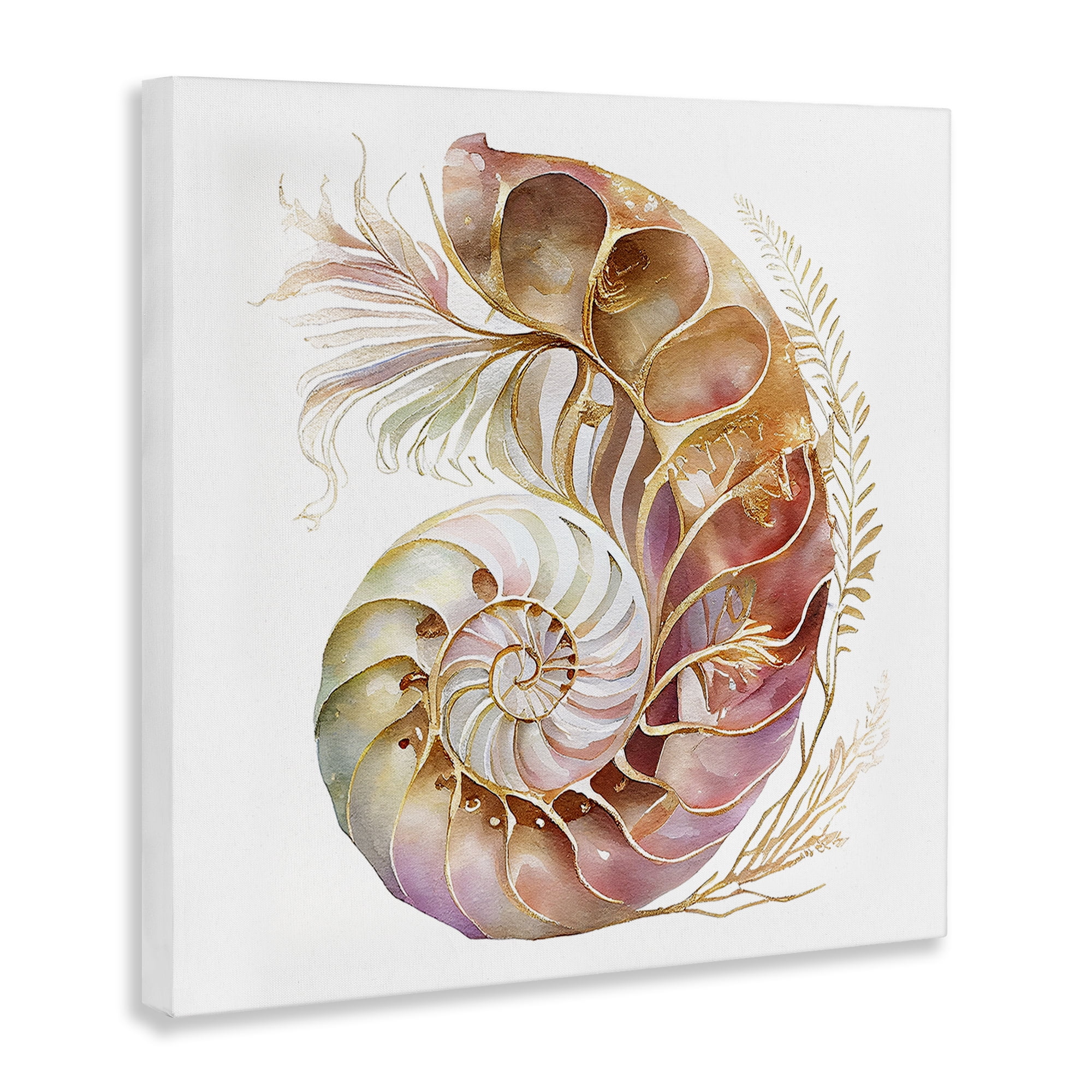 Stupell Industries Curled Nautilus Pattern Nautical & Beach Painting Wrapped Canvas Art Print Wall Art, 30 x 30