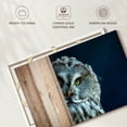 thumbnail image 6 of Elephant Stock Peeking Owl Wall Art - Horizontal Canvas Wall Art - Living Room Wall Decor - Animal Canvas - Blue And Beige Decor - 12" x 8", 6 of 8