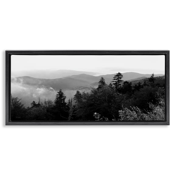 Stupell Industries Contemporary Black Floating Frame Canvas Art, 25 x 11, by Lori Deiter