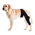 thumbnail image 7 of Knee Brace for Dogs, Knee Brace for Dogs Back Leg, Adjustable Straps, Black Neoprene, Hind Limb injury Support, Canine Daily Movement, 1 Pc, 7 of 7