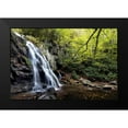 thumbnail image 2 of Head, Danny 18x13 Black Modern Framed Museum Art Print Titled - Spruce Flat Falls at Morning, 2 of 5