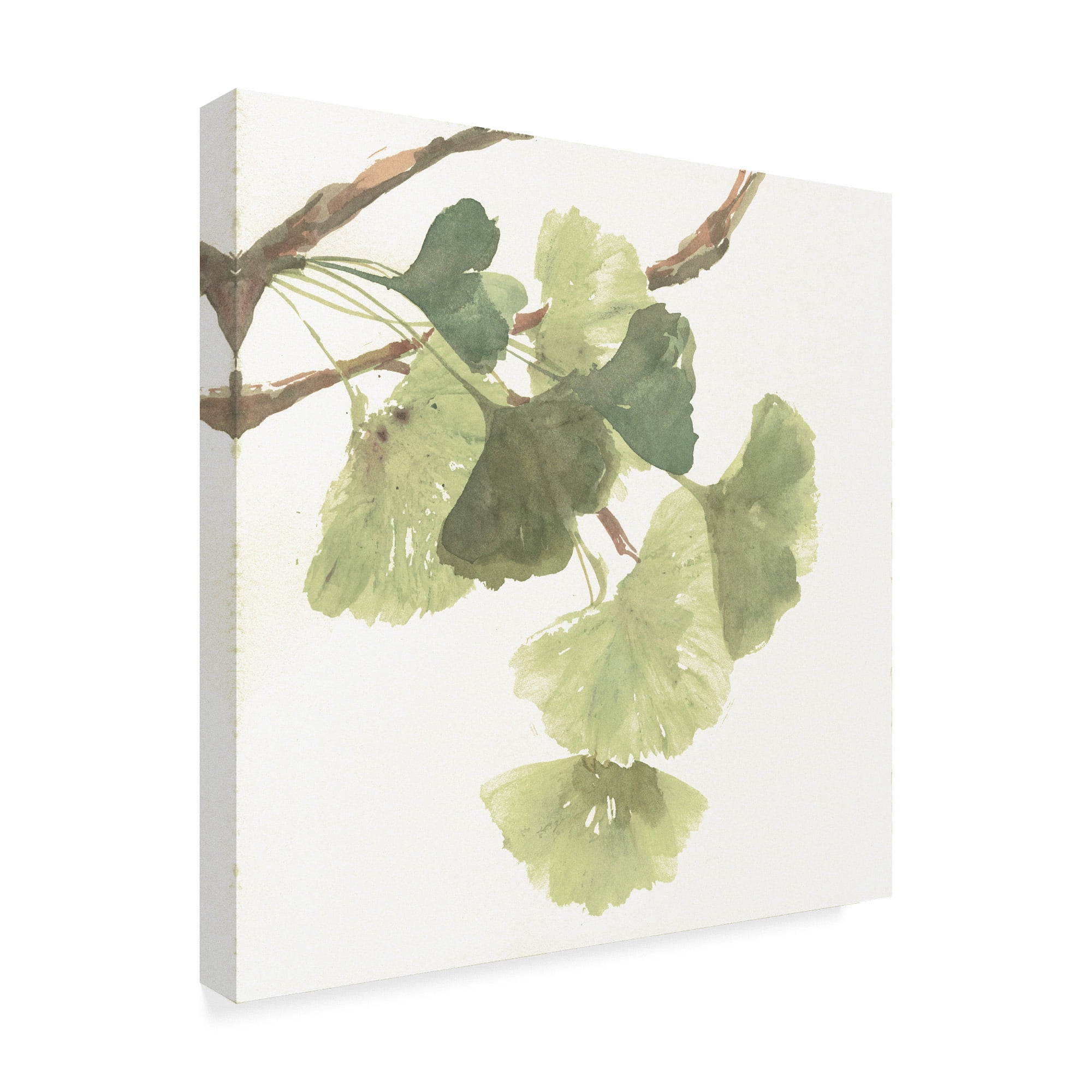 Trademark Fine Art 'Gingko Leaves I on White' Canvas Art by Chris Paschke