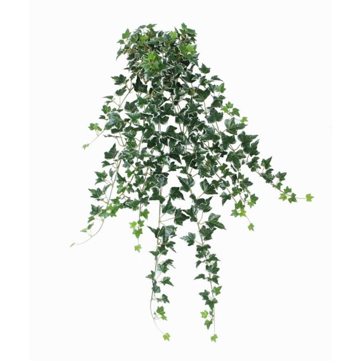 31.50 Decorative Green and White Ivy Spring Floral Hanging Bush