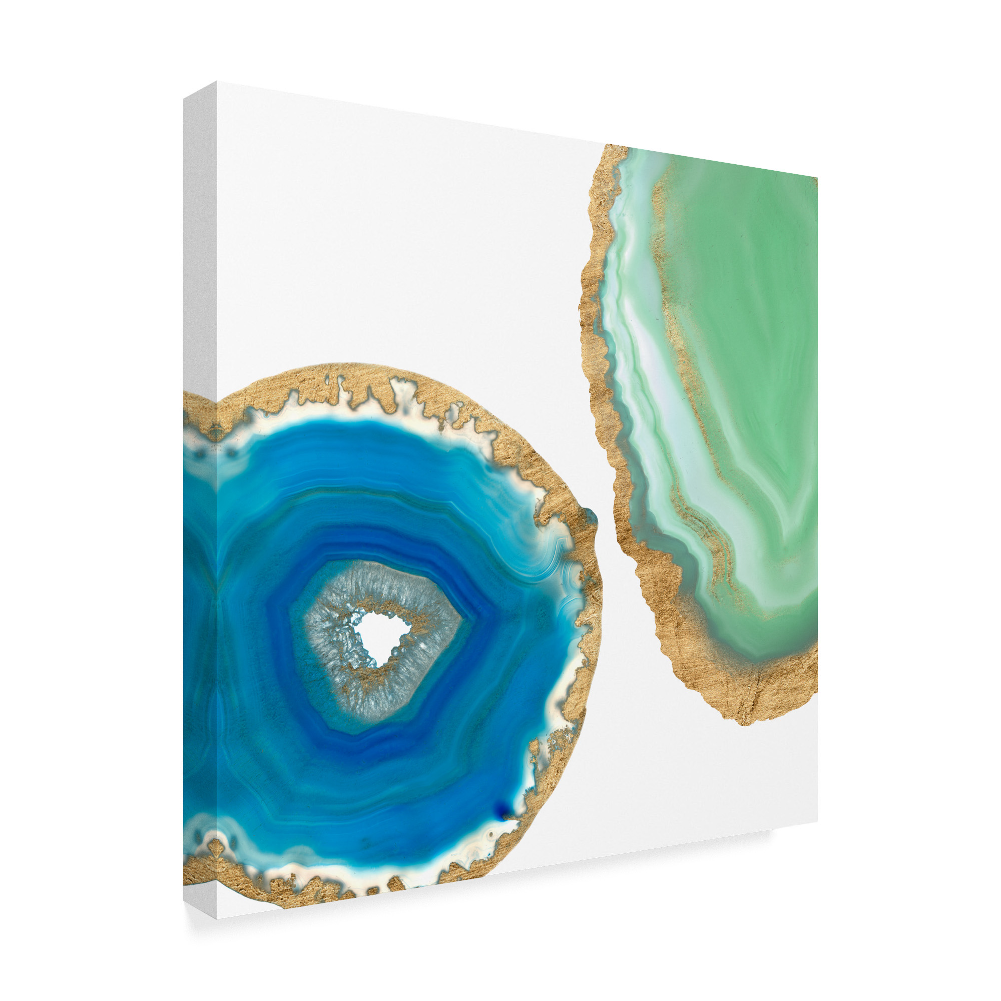 Trademark Fine Art 'Gem Stones III' Canvas Art by Jennifer Goldberger