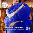 thumbnail image 4 of Heated Electric Blanket RUJIPO Queen w/ Faux Fur Sherpa, 4 of 7