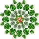 thumbnail image 1 of Manteles Individuales, 12 Piezas, Tapetes De Mesa Con Hojas De Tortuga Artificiales, Verde, 13 Pulgadas, Manteles Individuales Decorativos Resistentes Al Calor Con Hoja Trasera De, 1 of 5