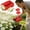 2, variant on Chamomile Harvester, Sweet Gum Tree Ball Picker Upper, Herb Picker Tool With Stainless Steel Comb, Fruit Picker Tools, Citrus Orange Cherry Swipe Tools
