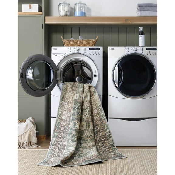 Acoose Traditional Area Rug - Olive, Medium Green, Cream - 18" x 18" Sample