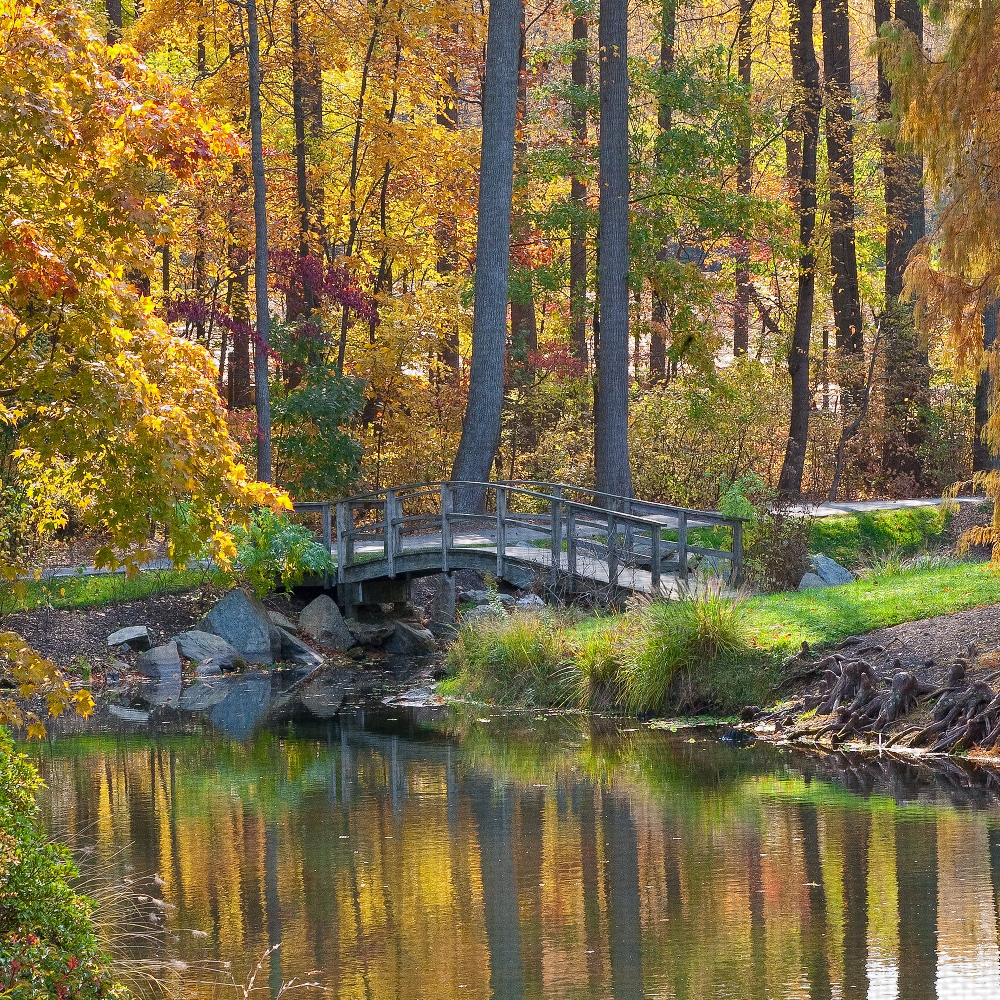 Masterpiece Art Gallery Bridge To Fall Autumn Forest By Robin Constable Hanson Canvas Art Print 18" x 24"