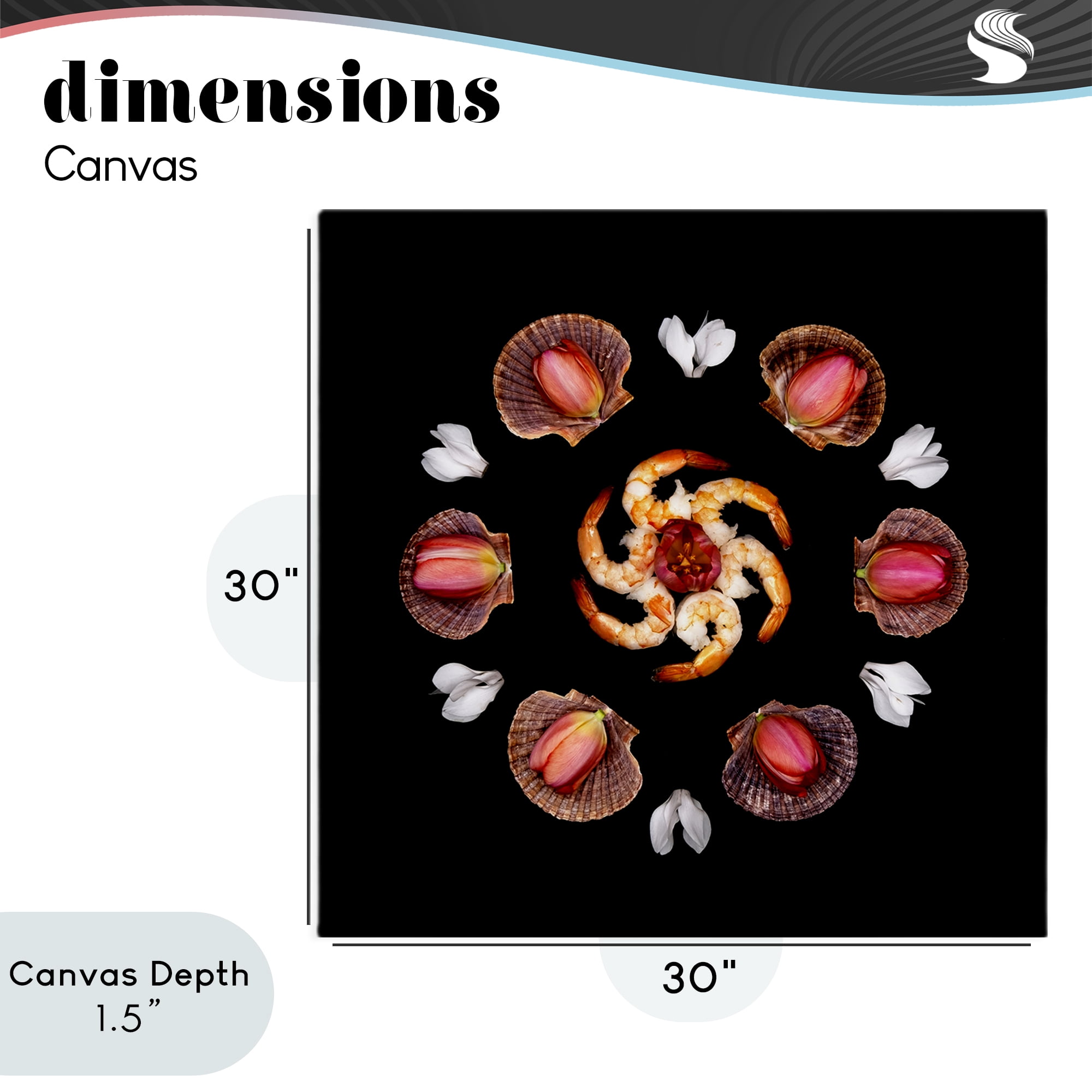 Stupell Industries Seashells & Tulips Symmetry Canvas Wall Art, design by Beth Adoette