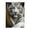 500 Pieces, variant on 500-Piece Wooden Jigsaw Puzzle for Adults - White Tiger , Fun & Relaxing Family Game, No-Dust Interlocking Pieces, Perfect Wall Decor & Holiday Gift